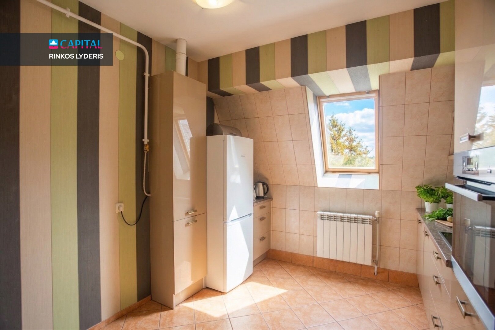 Palanga, Palanga, 4 kamb. – nuotrauka 4