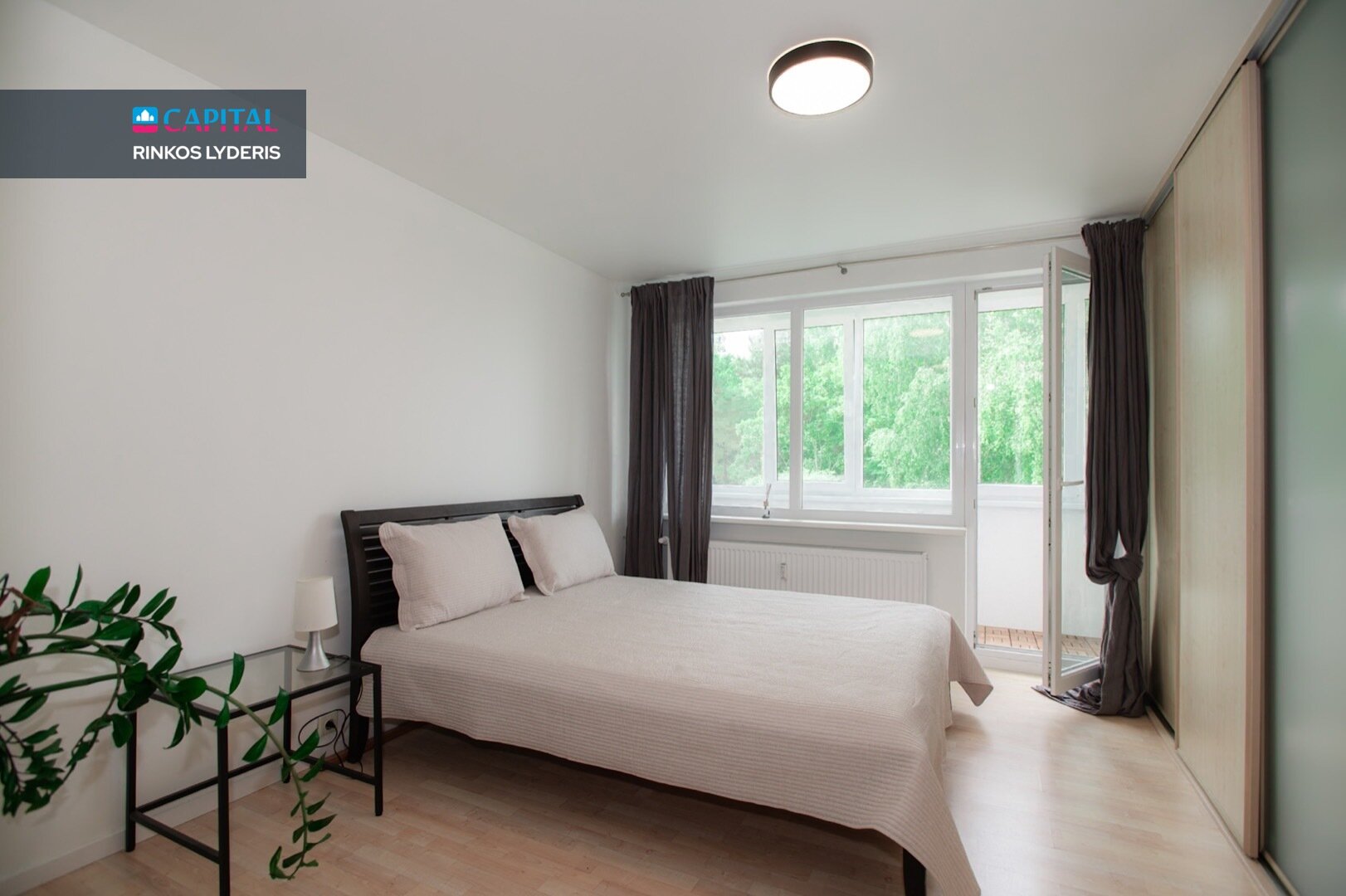 Palanga, Palanga, 3 kamb. – nuotrauka 5