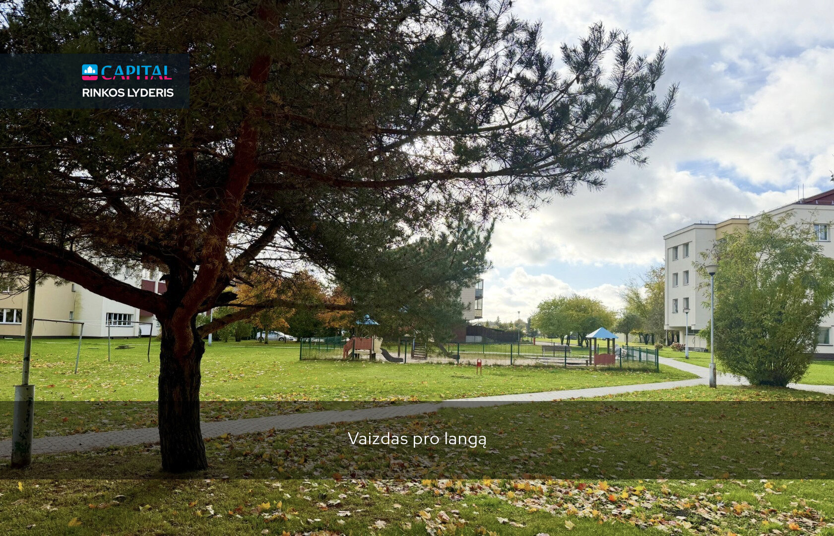 Palanga, Palanga, 2 kamb. – nuotrauka 6