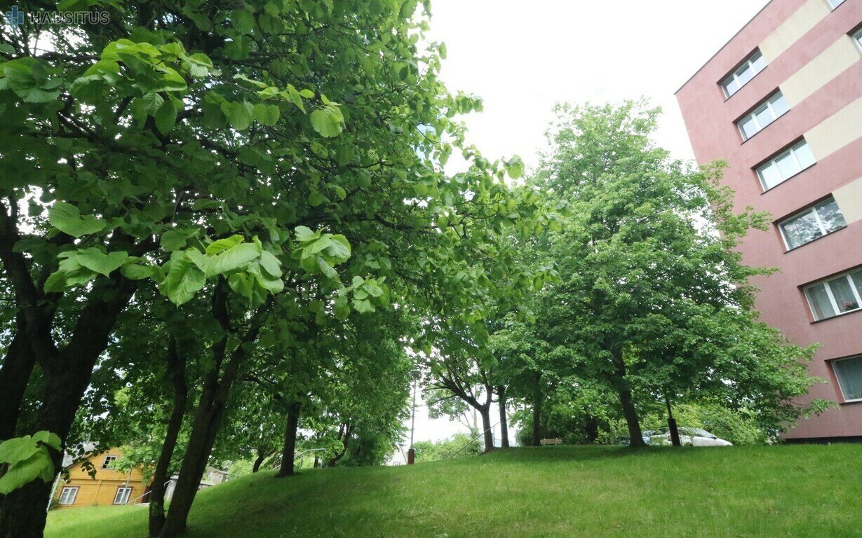 Liudiškių g., Anykščiai, 3 kamb. – nuotrauka 6