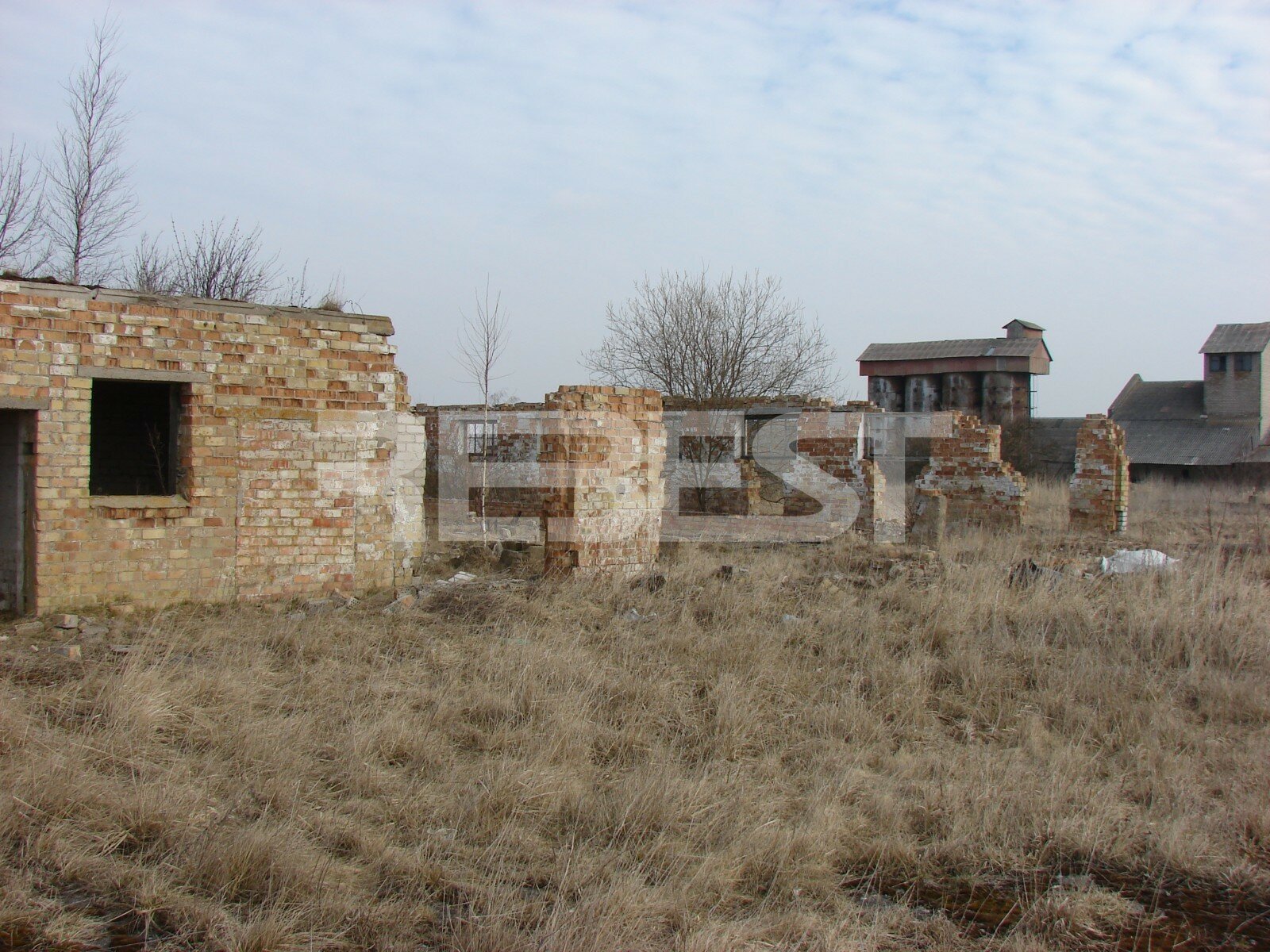 Listing image