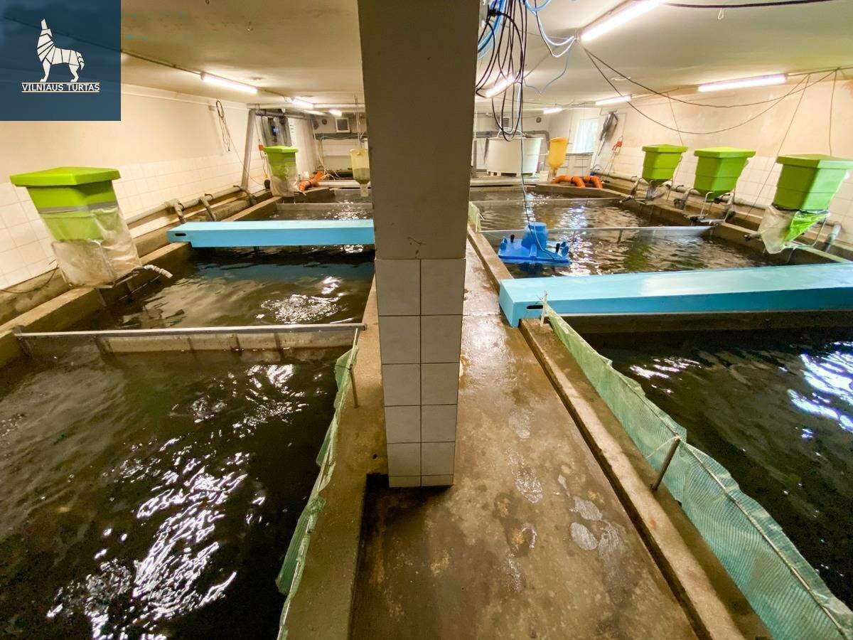 Parduodamos Biuro / Gamybos ir sandėliavimo / Kita patalpos Prienų rajono sav., Čiudiškiuose – nuotrauka 6