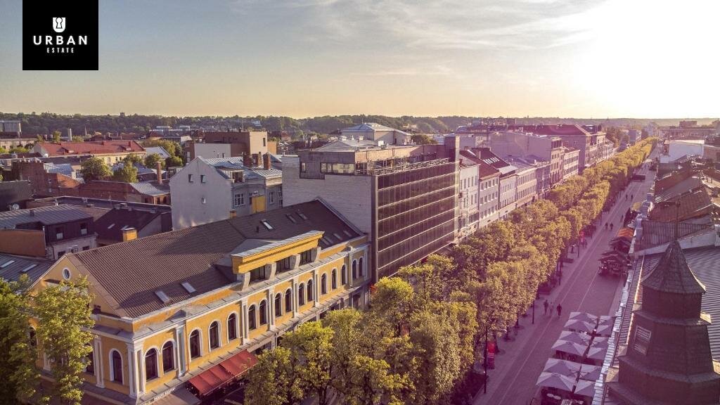 For sale Commercial/service premises Kaune, Senamiestyje, Laisvės al. – image 3