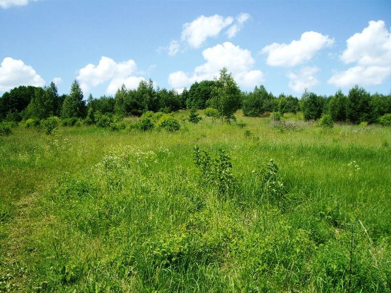 Sklypas Alytaus rajono sav., Žaunieriškiuose, Slėnio g. – nuotrauka 3