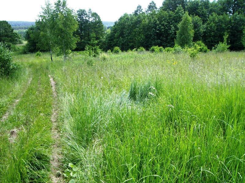 Sklypas Alytaus rajono sav., Žaunieriškiuose, Slėnio g. – nuotrauka 4