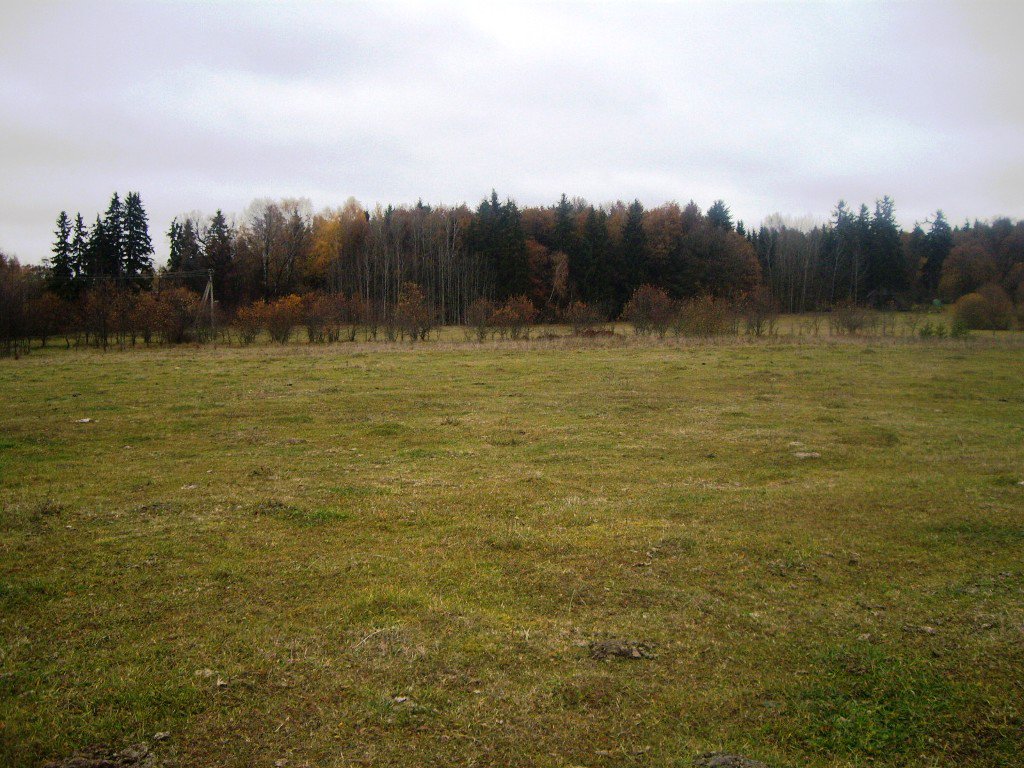 Sklypas Alytaus r. sav., Jurgiškiuose, Plento g. – nuotrauka 6