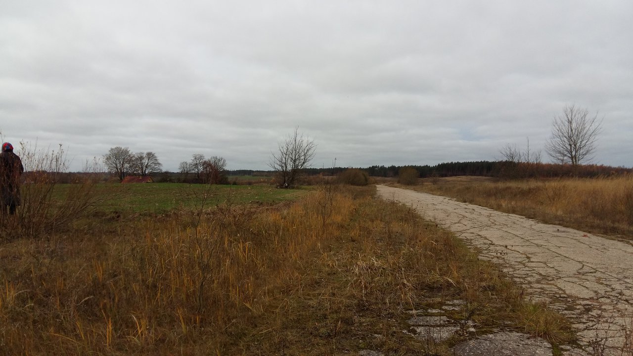 Sklypas Kaišiadorių r. sav., Kruonis II – nuotrauka 3
