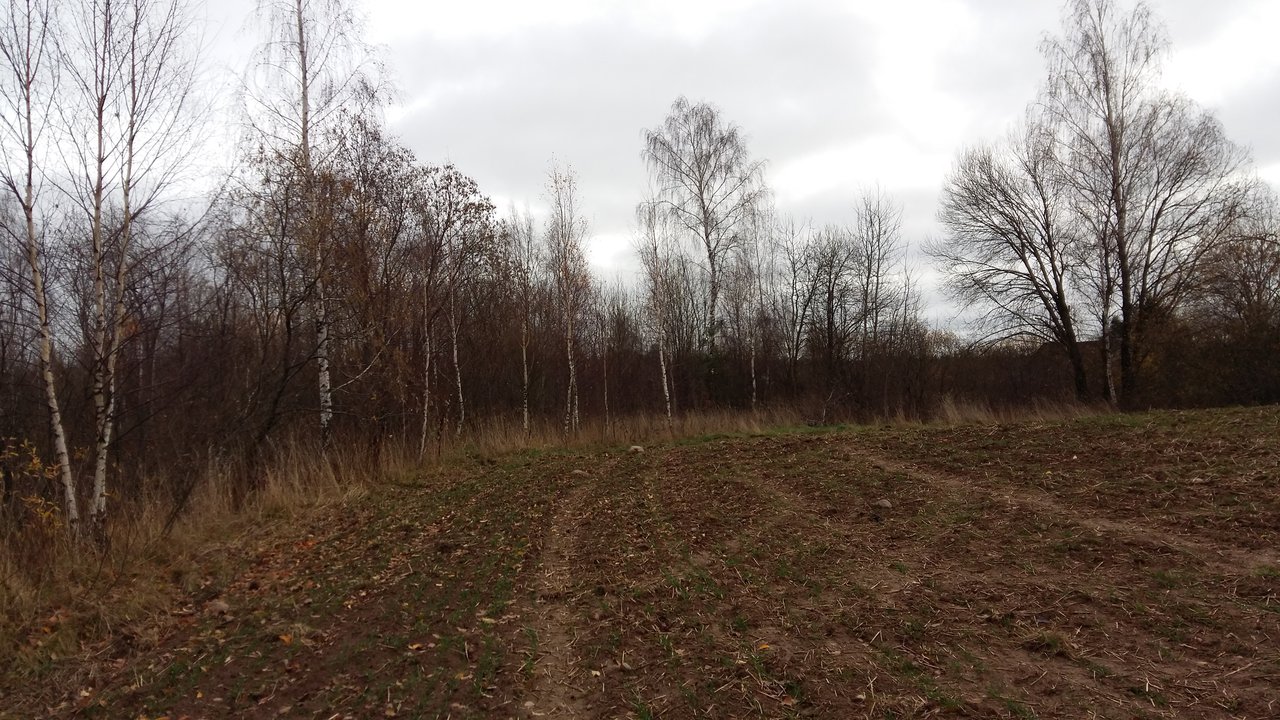 Sklypas Kaišiadorių r. sav., Kruonis II – nuotrauka 4