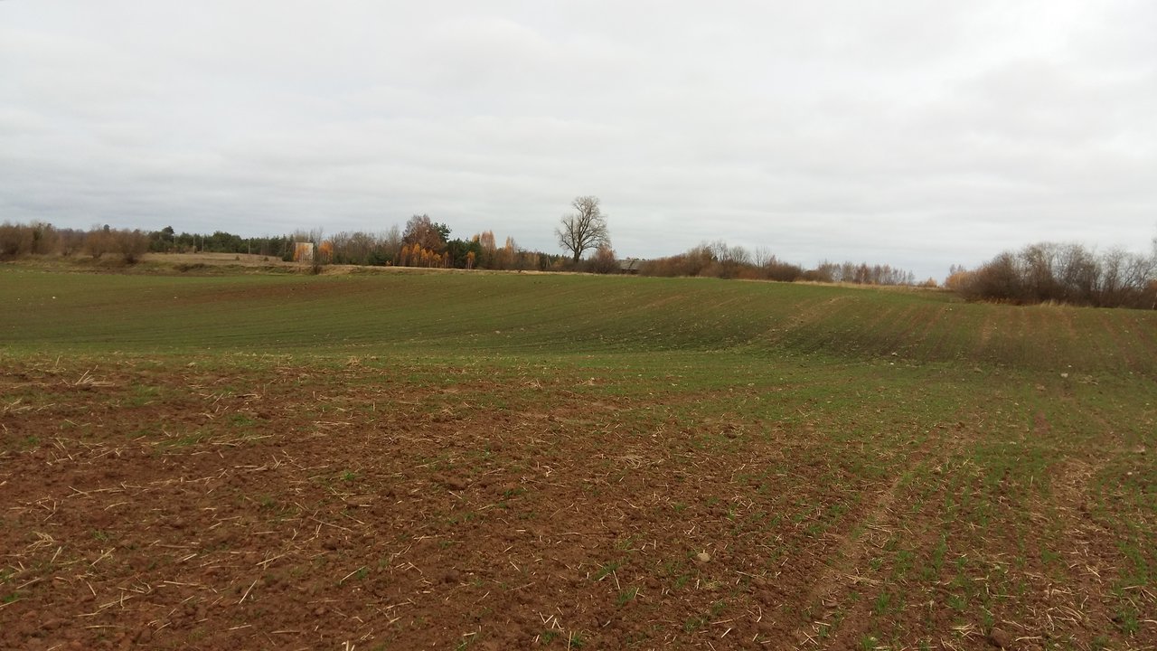Sklypas Kaišiadorių r. sav., Kruonis II – nuotrauka 5