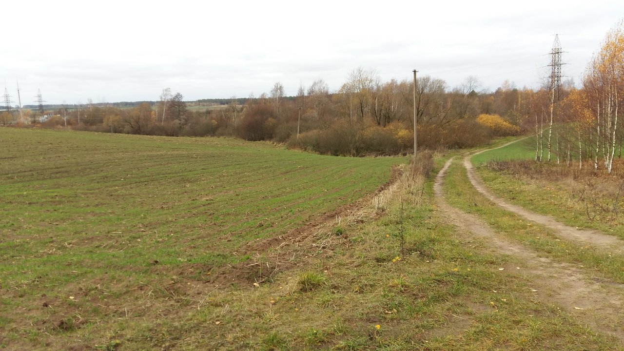 Sklypas Kaišiadorių r. sav., Kruonis II – nuotrauka 5