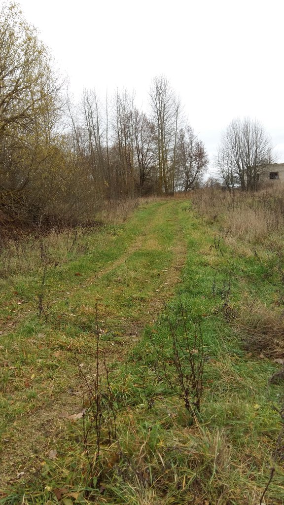 Sklypas Kaišiadorių r. sav., Kruonis II – nuotrauka 4
