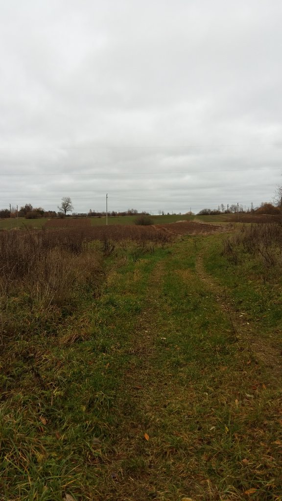 Sklypas Kaišiadorių r. sav., Kruonis II – nuotrauka 5