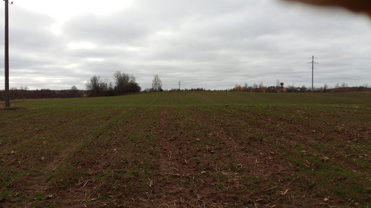 Sklypas Kaišiadorių r. sav., Kruonis II – nuotrauka 3