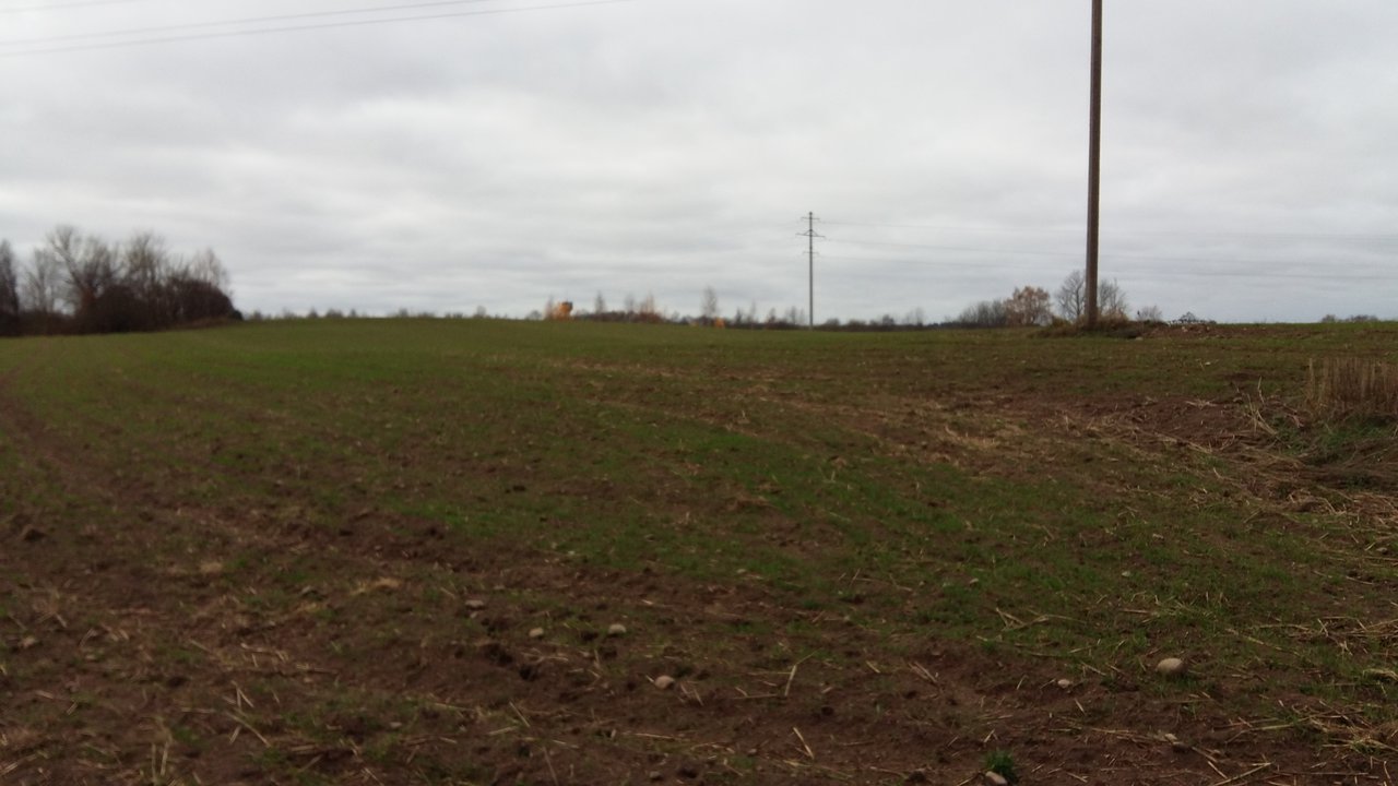 Sklypas Kaišiadorių r. sav., Kruonis II – nuotrauka 5