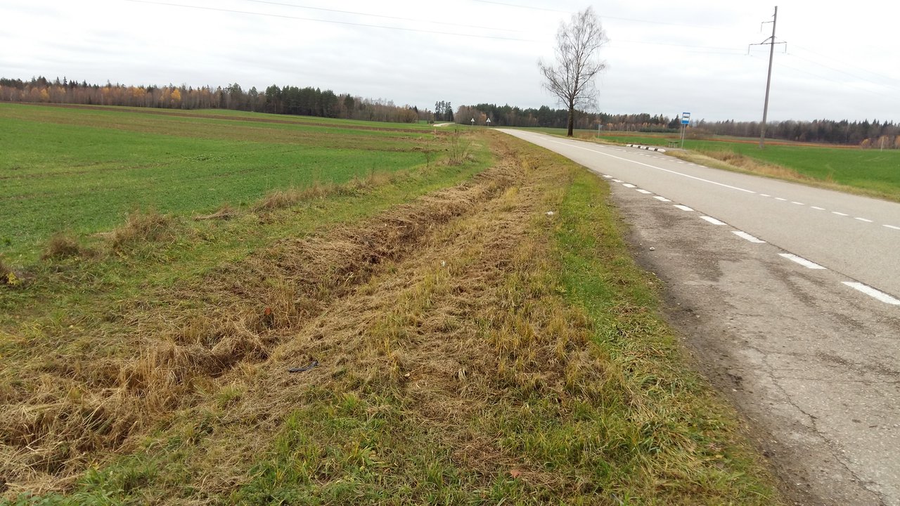 Sklypas Kaišiadorių r. sav., Kruonis II – nuotrauka 3