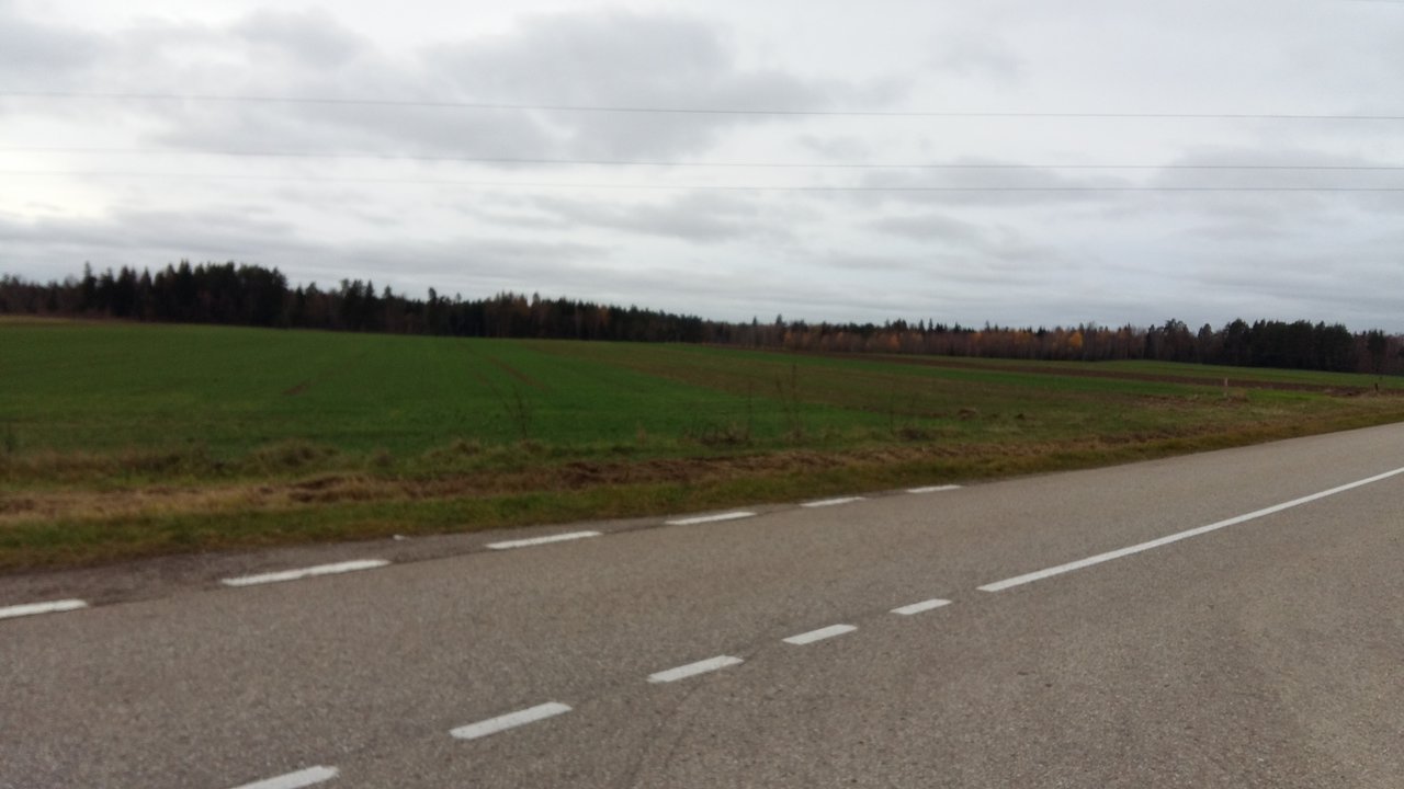 Sklypas Kaišiadorių r. sav., Kruonis II – nuotrauka 4
