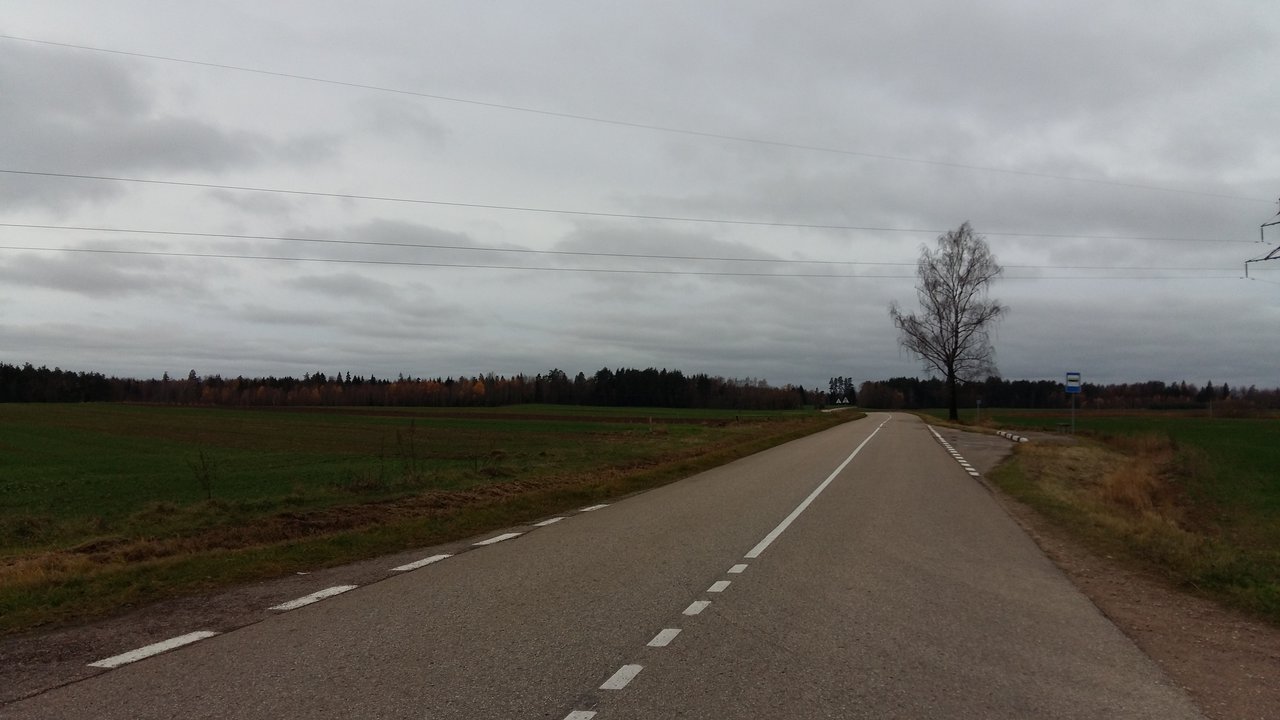 Sklypas Kaišiadorių r. sav., Kruonis II – nuotrauka 5
