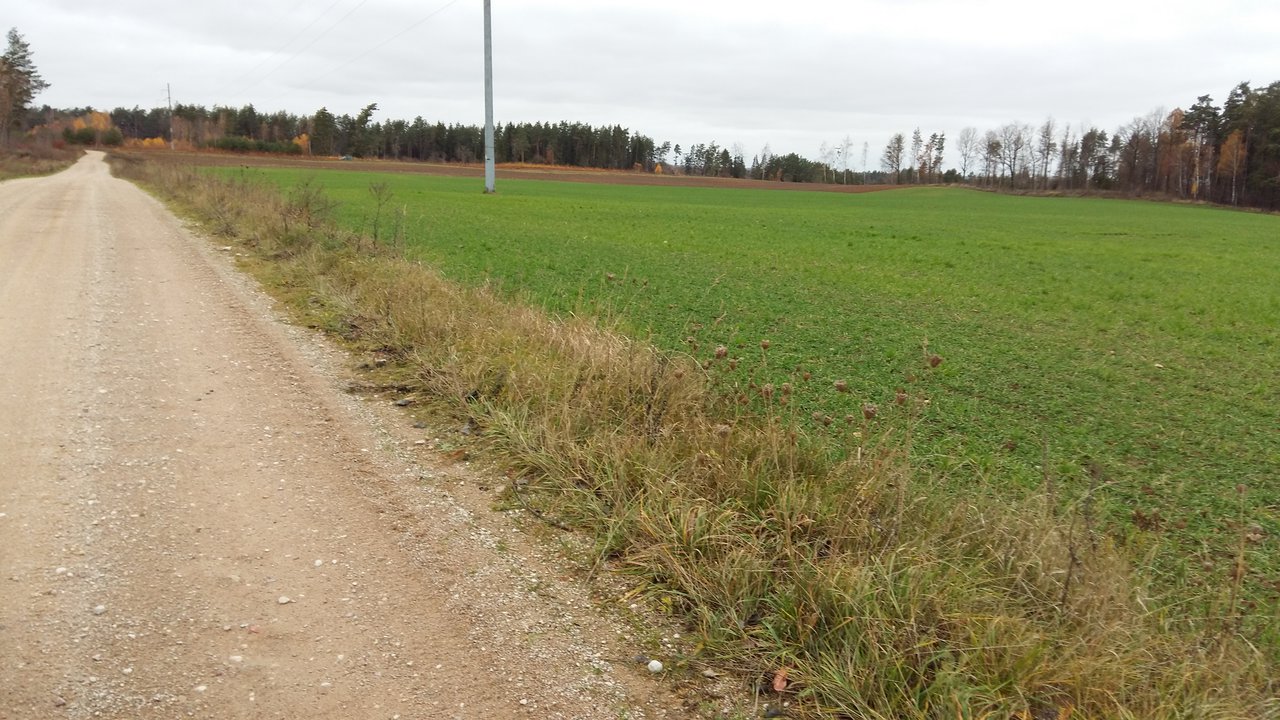 Sklypas Kaišiadorių r. sav., Kruonis II – nuotrauka 3