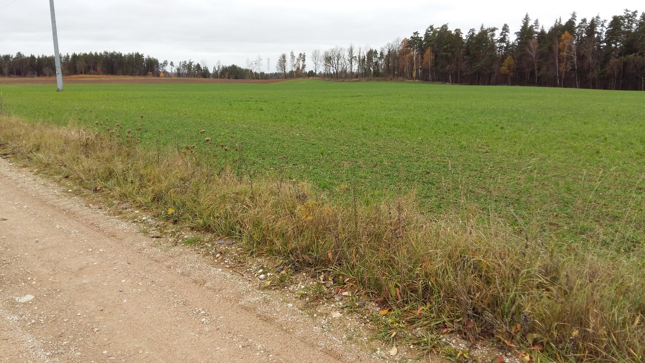 Sklypas Kaišiadorių r. sav., Kruonis II – nuotrauka 4
