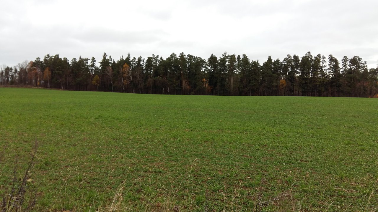 Sklypas Kaišiadorių r. sav., Kruonis II – nuotrauka 5