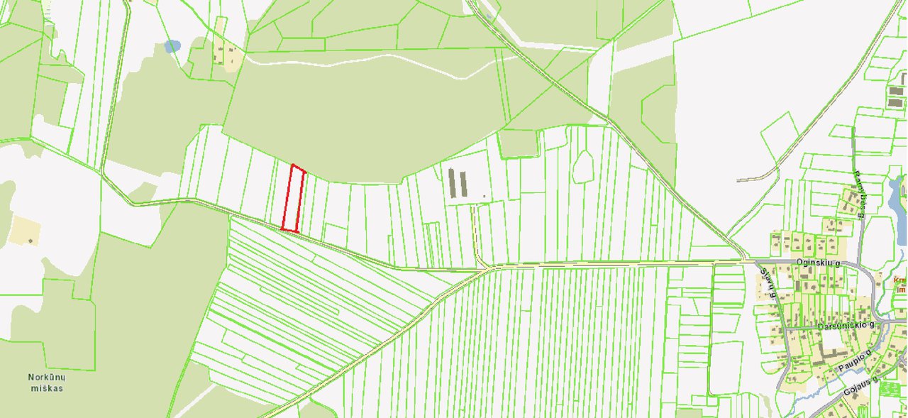 Sklypas Kaišiadorių r. sav., Kruonis II – nuotrauka 6