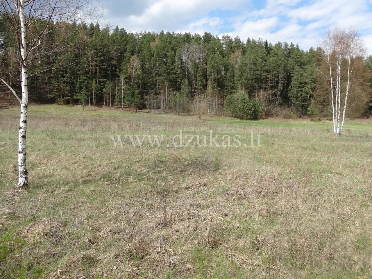 Listing image