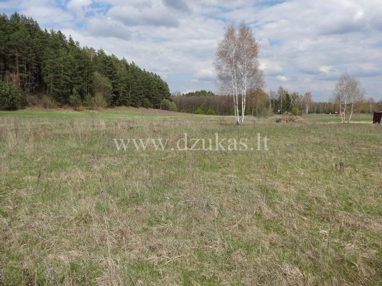 Участок Druskininkų sav., Gailiūnuose, Gailiūnų g. – изображение 3