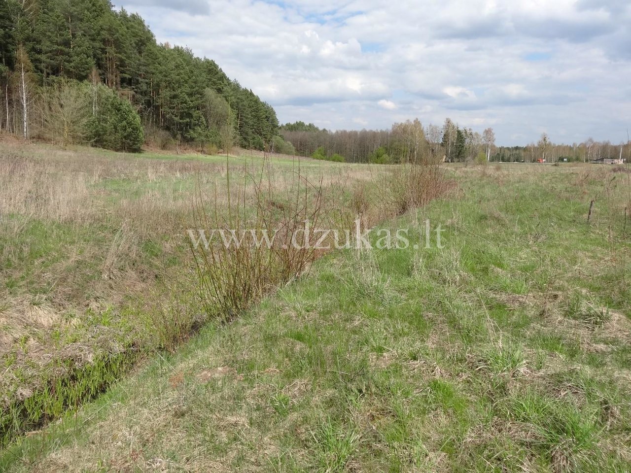 Участок Druskininkų sav., Gailiūnuose, Gailiūnų g. – изображение 4