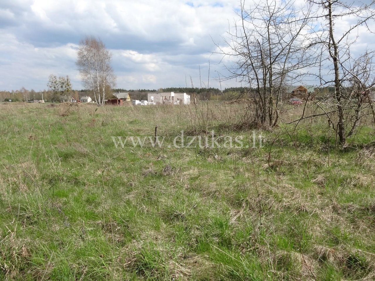 Участок Druskininkų sav., Gailiūnuose, Gailiūnų g. – изображение 5