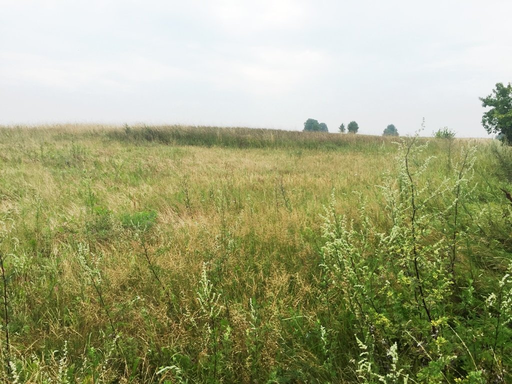 Sklypas Alytaus r. sav., Likiškiuose – nuotrauka 3