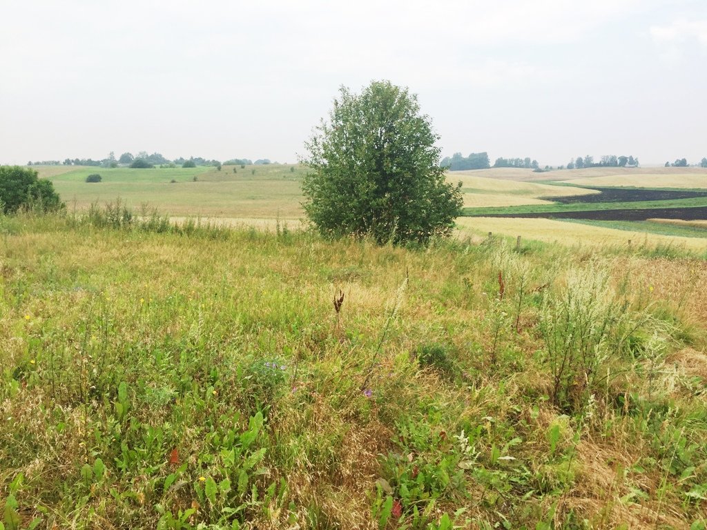 Sklypas Alytaus r. sav., Likiškiuose – nuotrauka 4