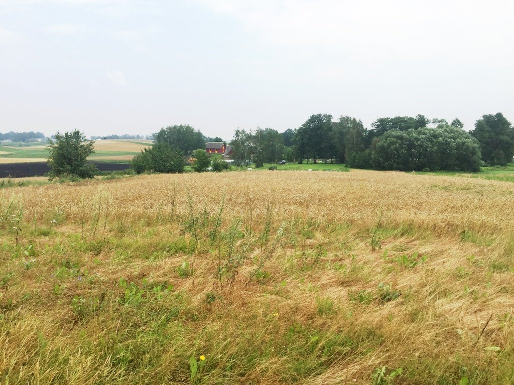 Sklypas Alytaus r. sav., Likiškiuose – nuotrauka 6
