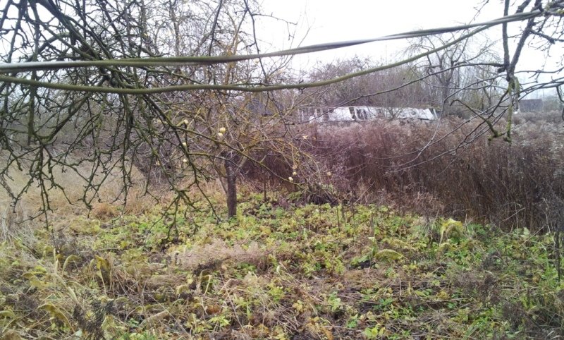 Sklypas Akmenės rajono sav., Naujoji Akmenė, Rasų g. – nuotrauka 4