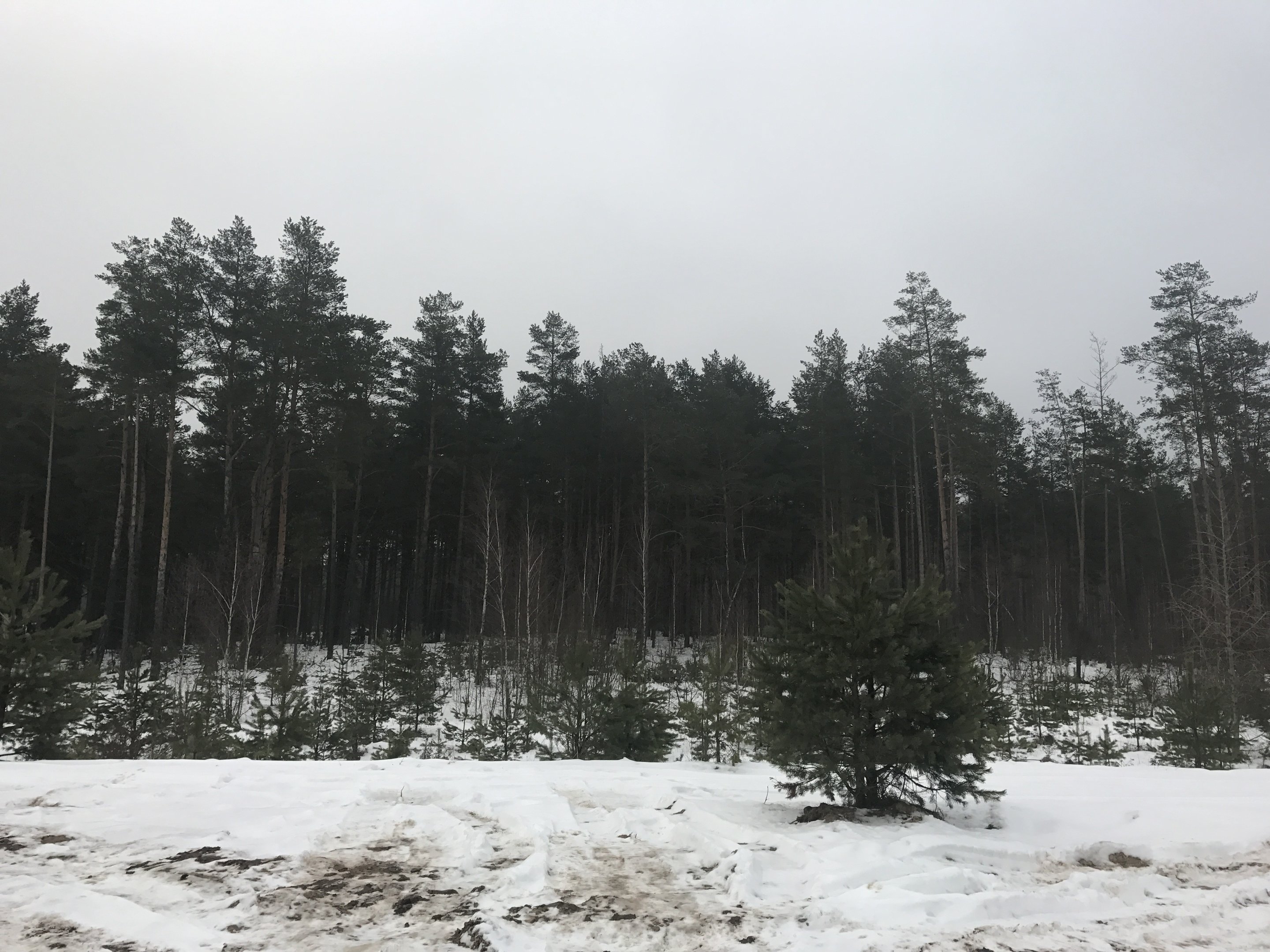 Участок Druskininkų sav., Druskininkuose, Pylimo g. – изображение 2