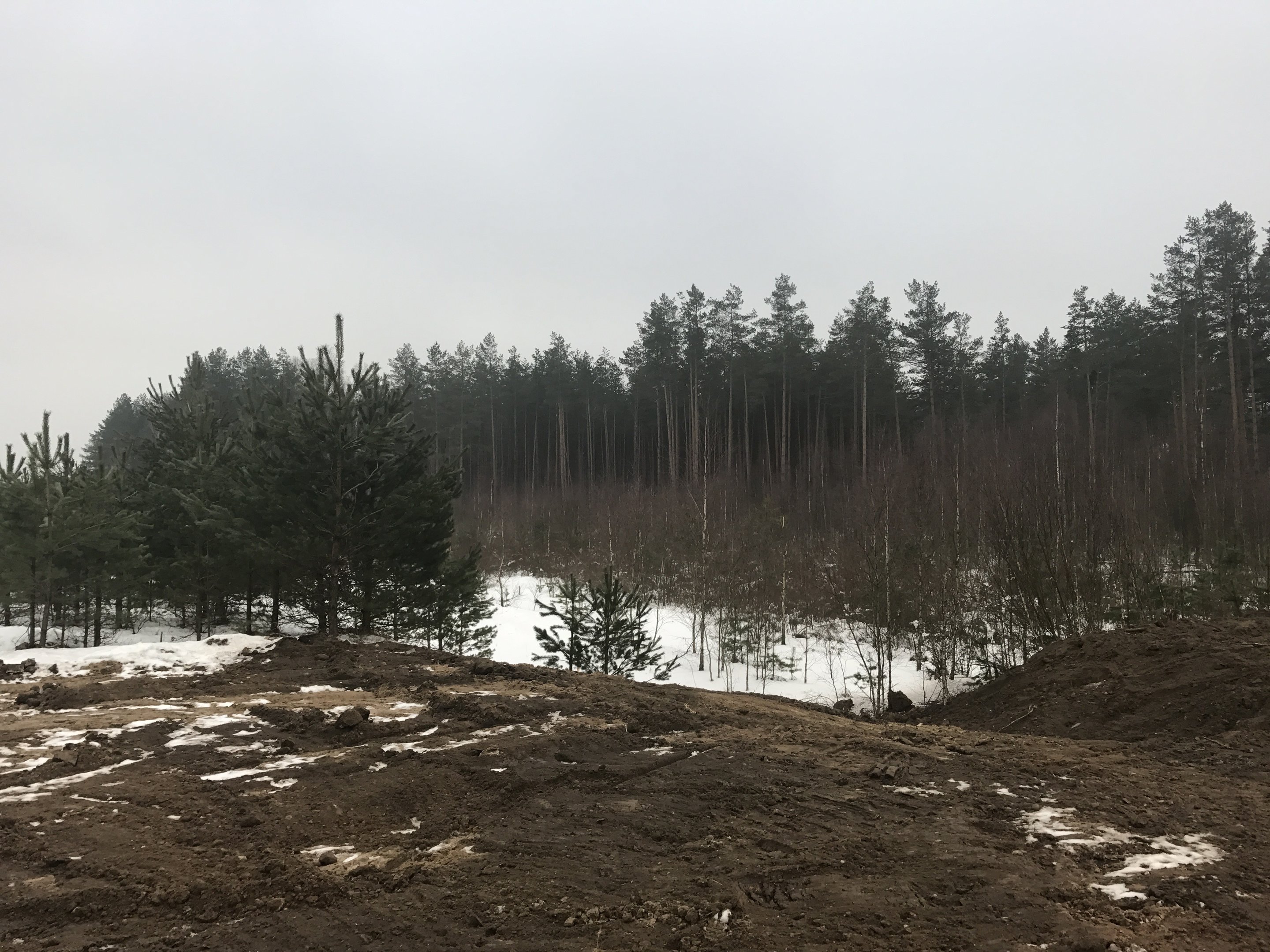Участок Druskininkų sav., Druskininkuose, Pylimo g. – изображение 4