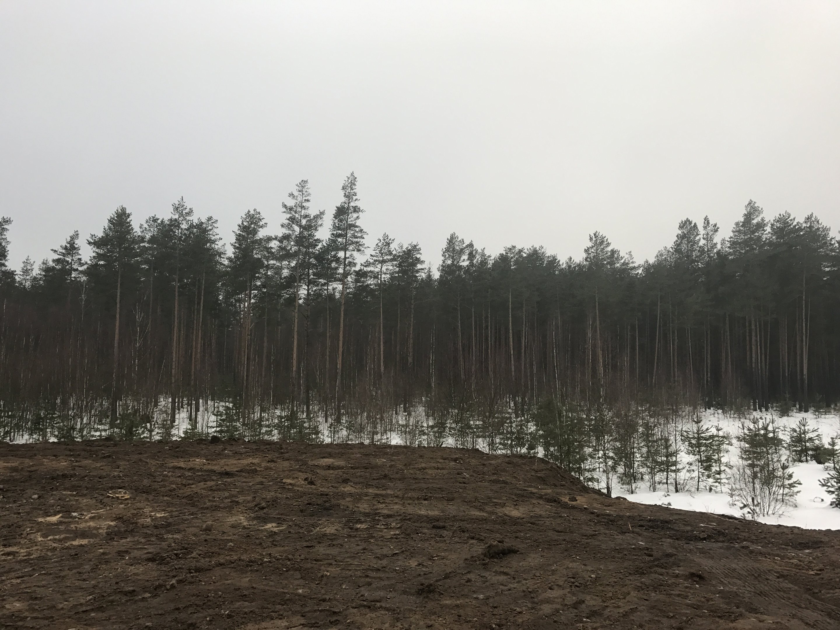Участок Druskininkų sav., Druskininkuose, Pylimo g. – изображение 5