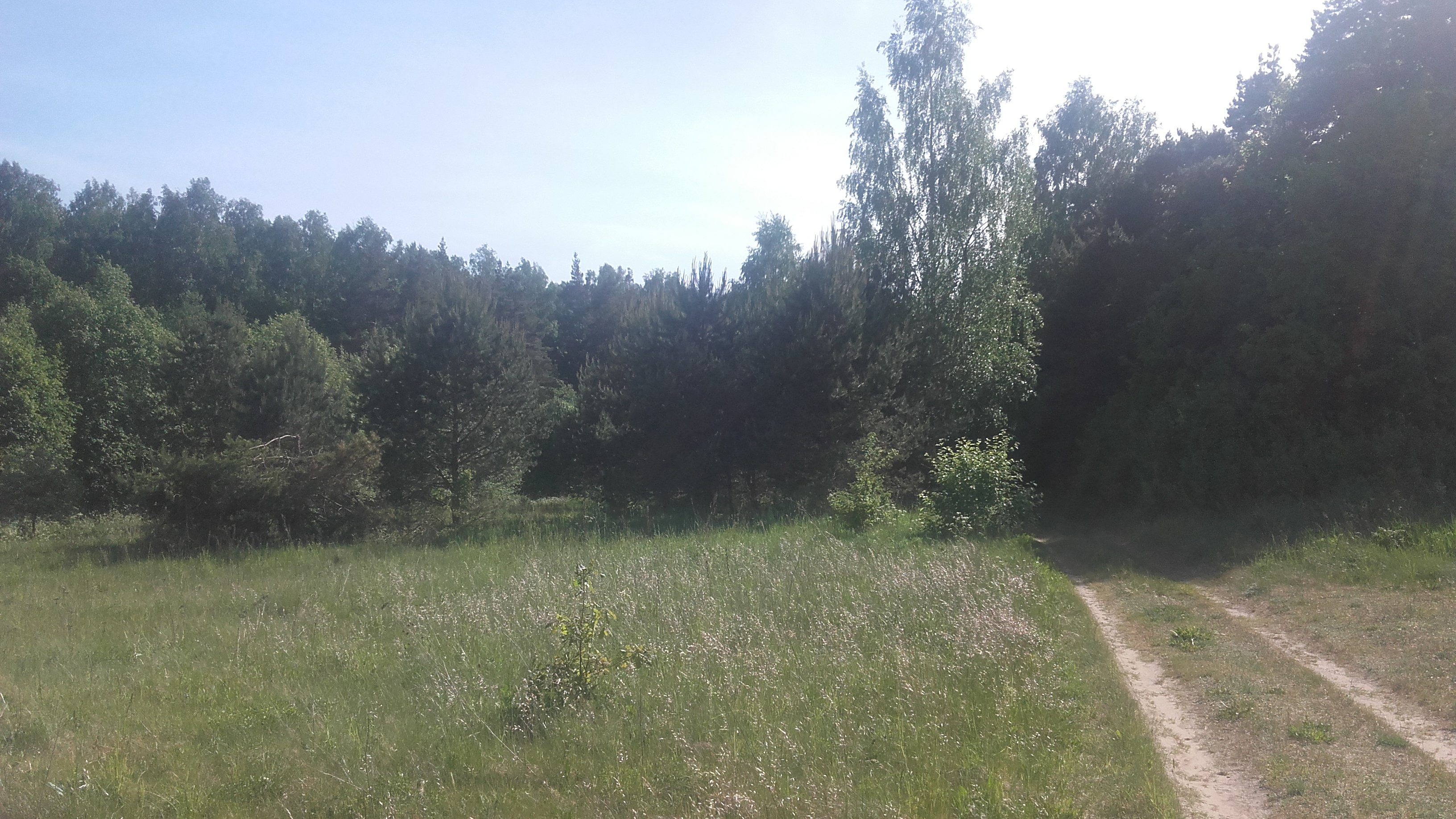 Sklypas Klaipėdos rajono sav., Šernuose – nuotrauka 2