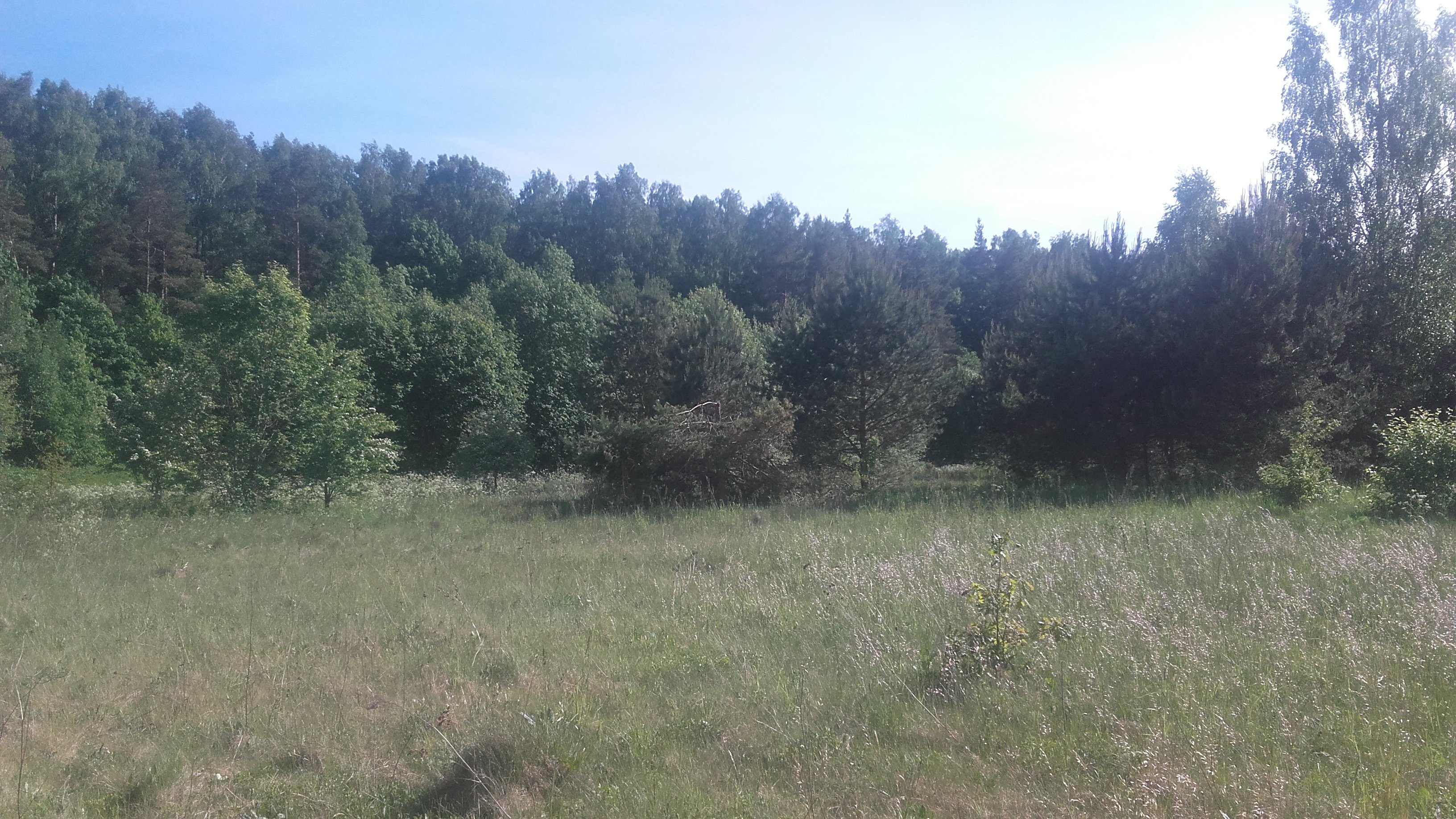 Sklypas Klaipėdos rajono sav., Šernuose – nuotrauka 4