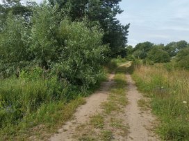 Sklypas Šilutės rajono sav., Vilkyčiuose – nuotrauka 3