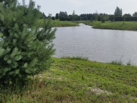 Sklypas Šilutės rajono sav., Vilkyčiuose – nuotrauka 6