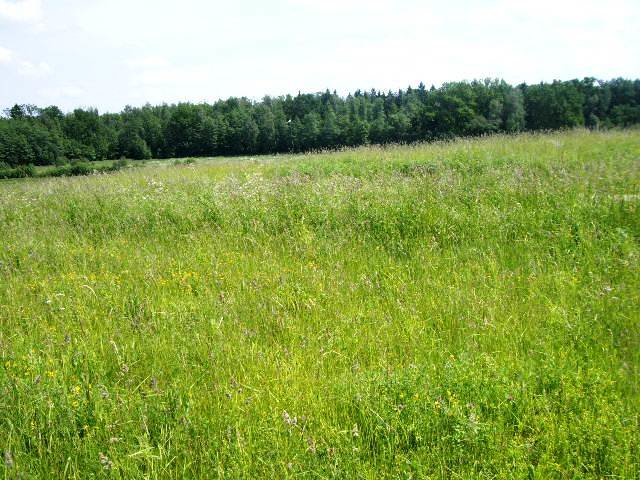 Sklypas Alytaus r. sav., Jurgiškiuose, Jurgiškių g. – nuotrauka 4
