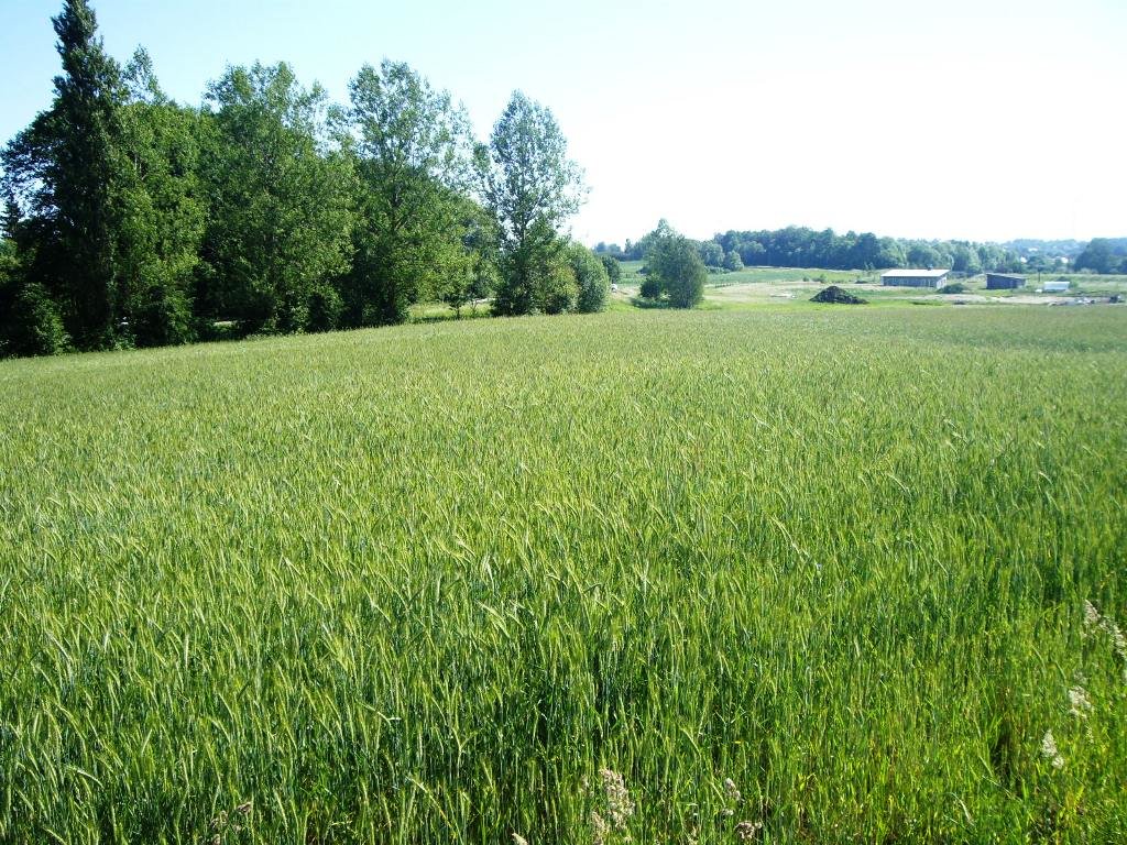 Sklypas Alytaus r. sav., Likiškėliuose, Senojo plento g. – nuotrauka 5
