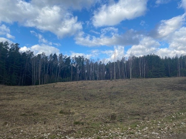Sklypas Druskininkų sav., Mizaruose, Nemuno kel. – nuotrauka 3