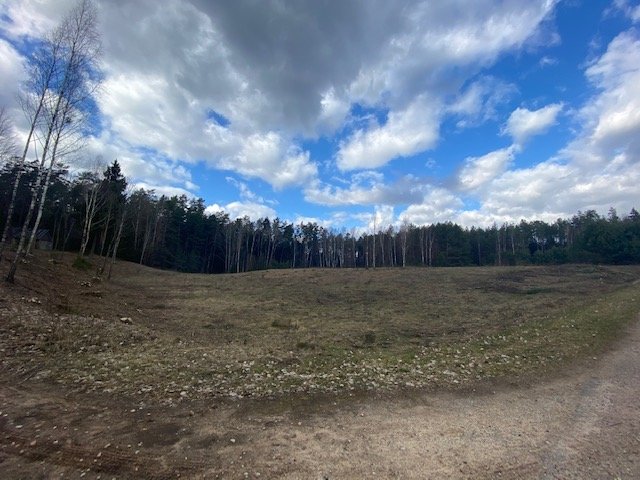 Sklypas Druskininkų sav., Mizaruose, Nemuno kel. – nuotrauka 4