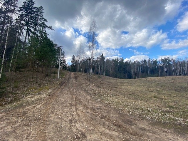 Sklypas Druskininkų sav., Mizaruose, Nemuno kel. – nuotrauka 5