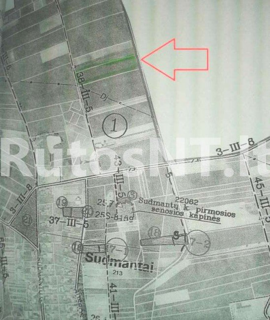 Sklypas Klaipėdos rajono sav., Sudmantuose – nuotrauka 2