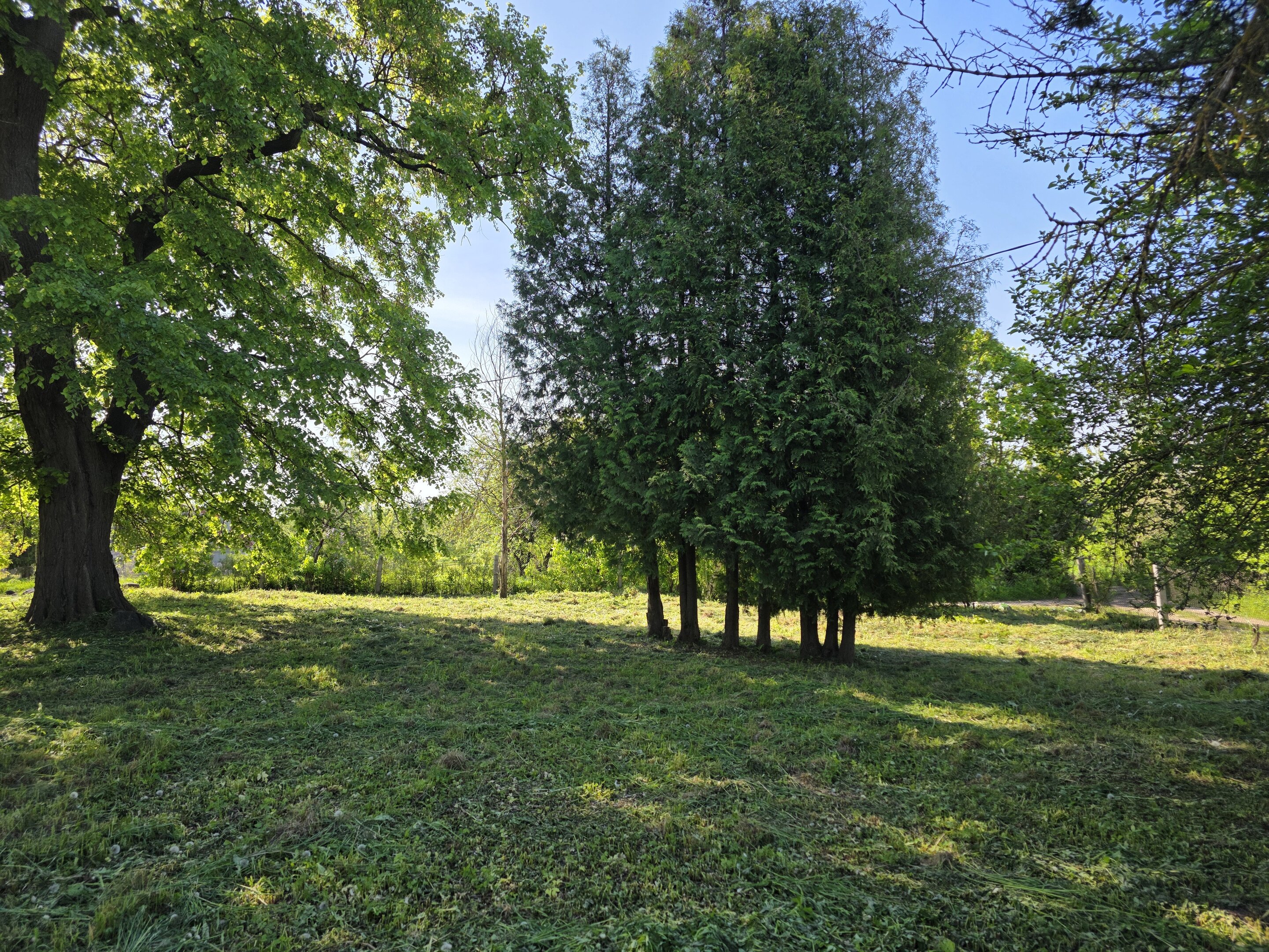 Sklypas Akmenės rajono sav., Naujoji Akmenė, Žiedų g. – nuotrauka 4