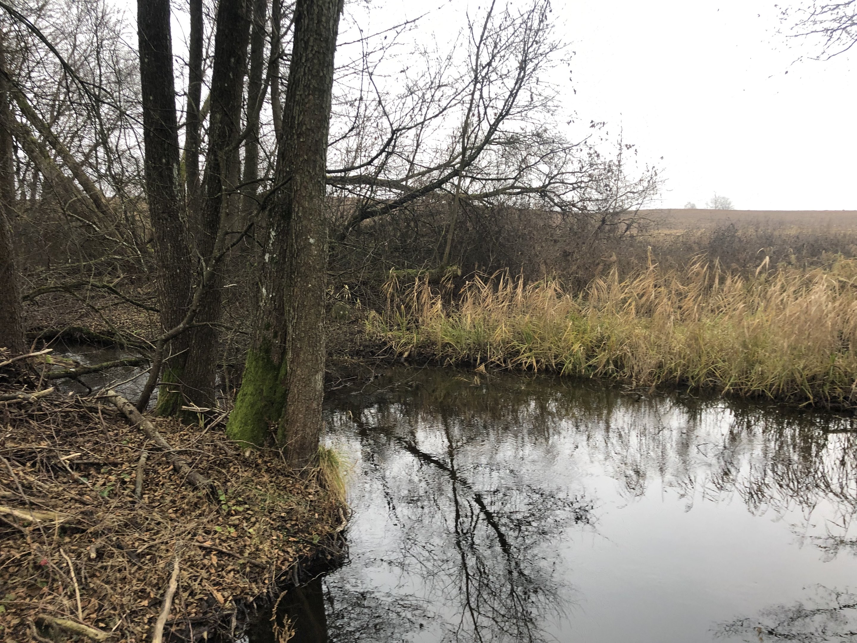 Sklypas Varėnos rajono sav., Geidukonyse – nuotrauka 5