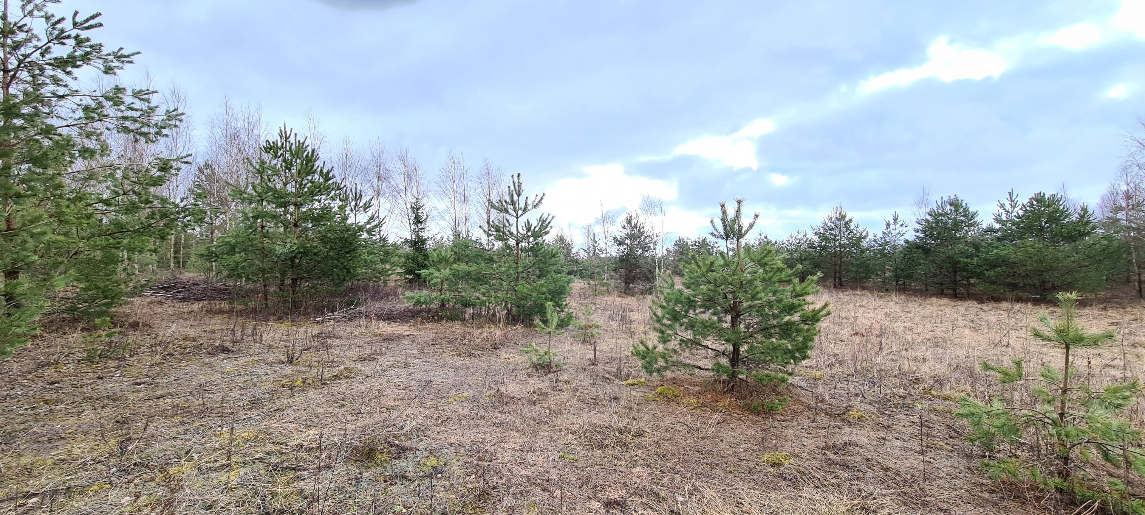 Sklypas Vilnius, Guobos – nuotrauka 3