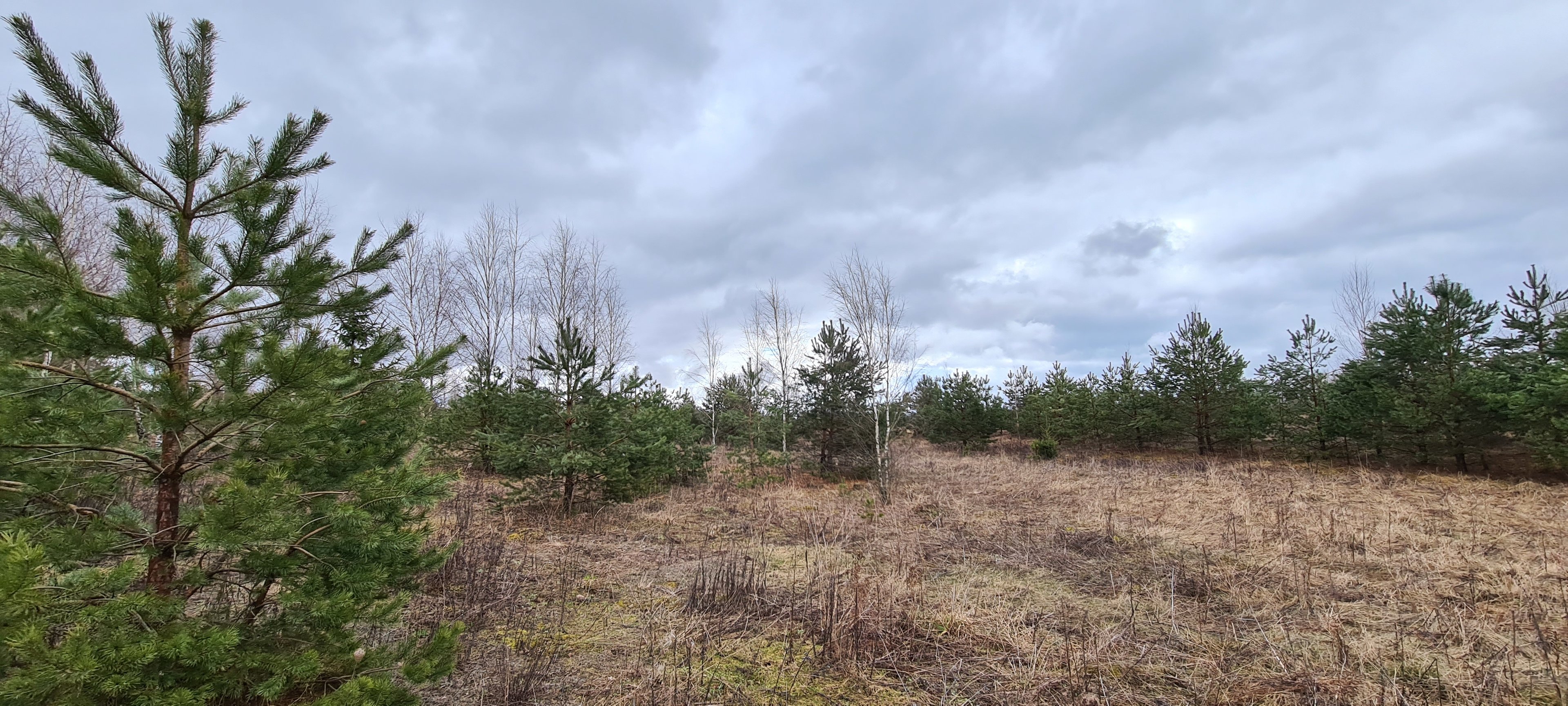 Sklypas Vilnius, Guobos – nuotrauka 5